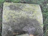 image of grave number 297343